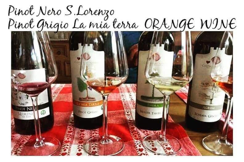 Agritur Tenno Cantina Bio Natura Zewnętrze zdjęcie