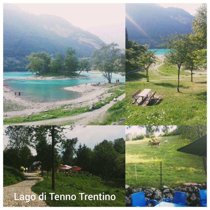 Agritur Tenno Cantina Bio Natura Zewnętrze zdjęcie